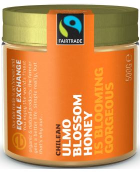 Equal Exchange Organic & Fairtrade Honey - Clear 500g