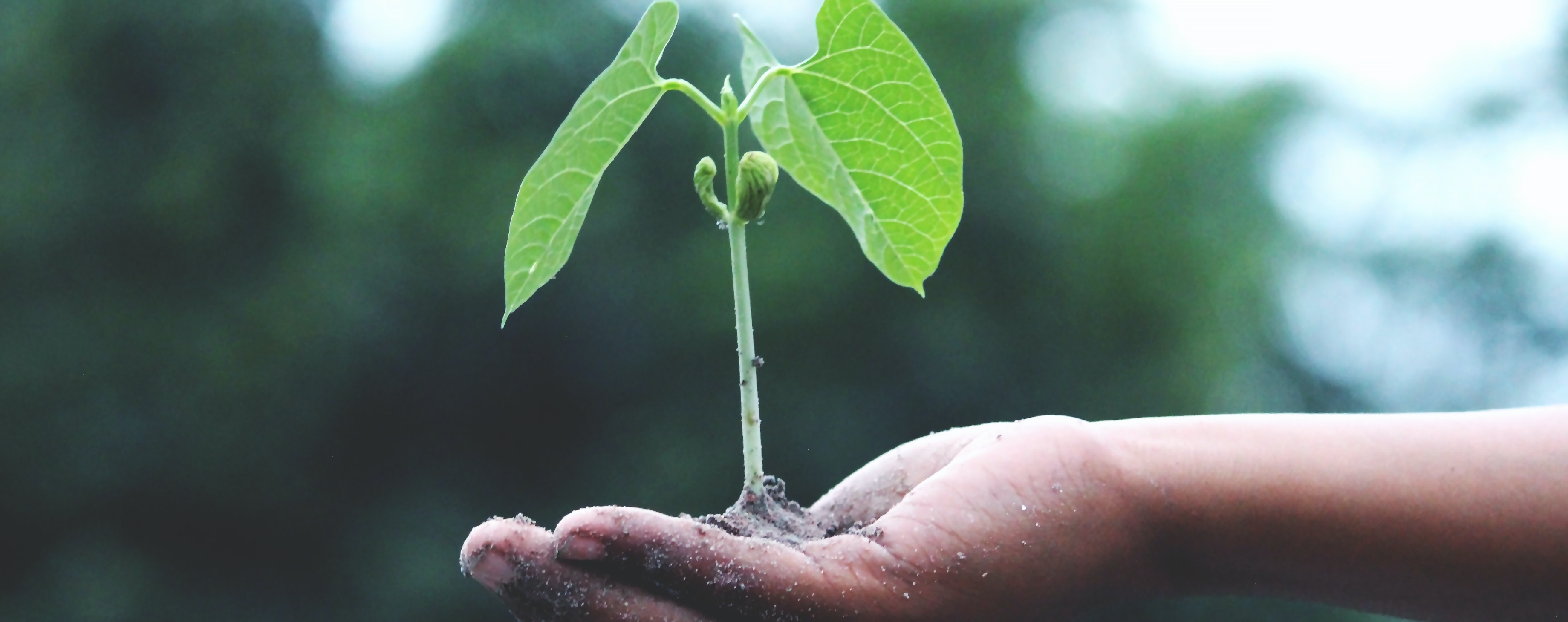 airtrade-environment-policy